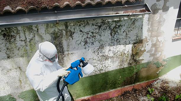 Trusted Commercial Mold Remediation service in Bethel, NC - Cheap Mold Removal